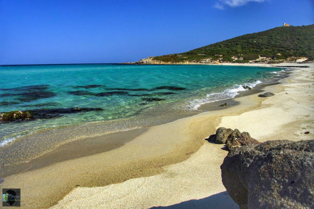plage bodri corse