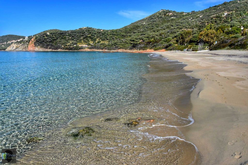 plage menasina corse