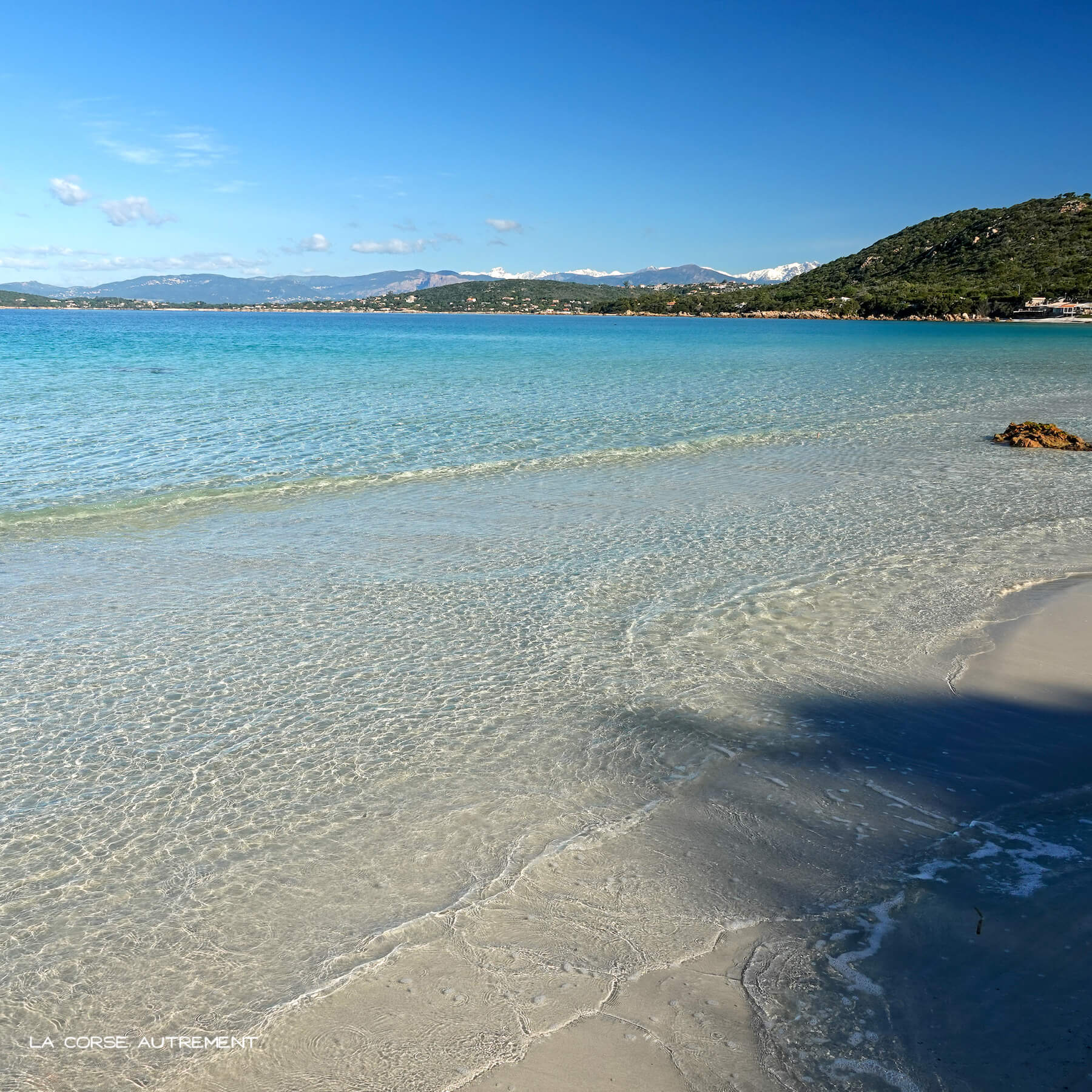 Mare E Sole Ou Plage D Argent La Plage Paradisiaque En Corse