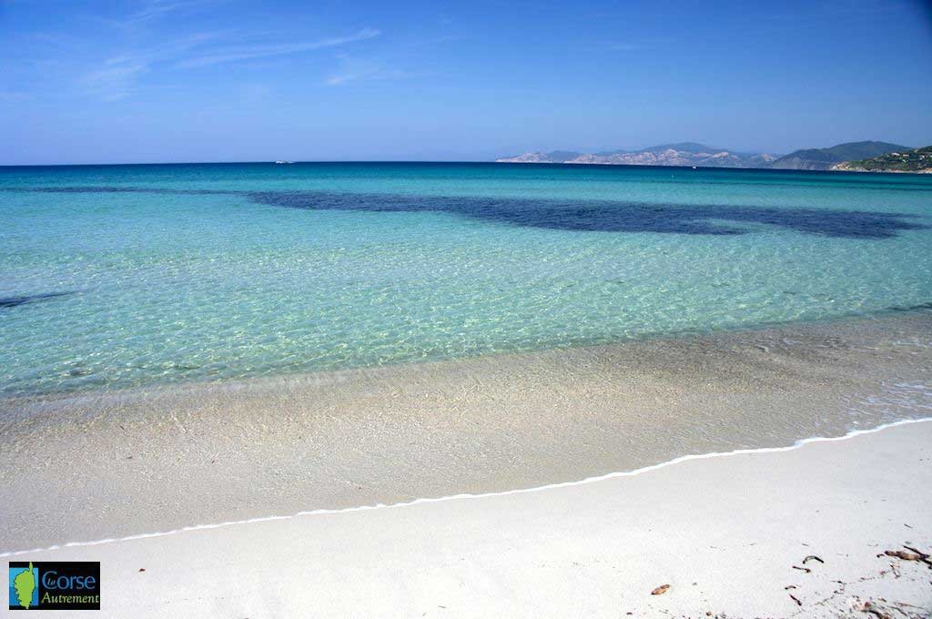 Plage Ile Rousse