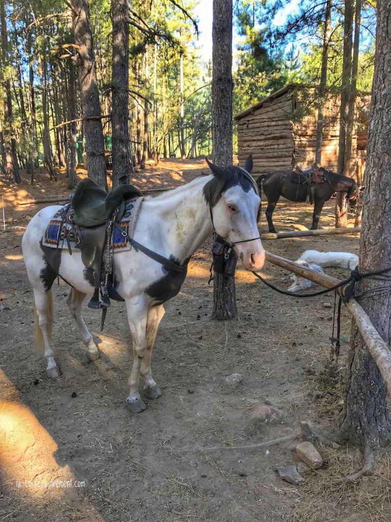 ranch u niolu a cavallu