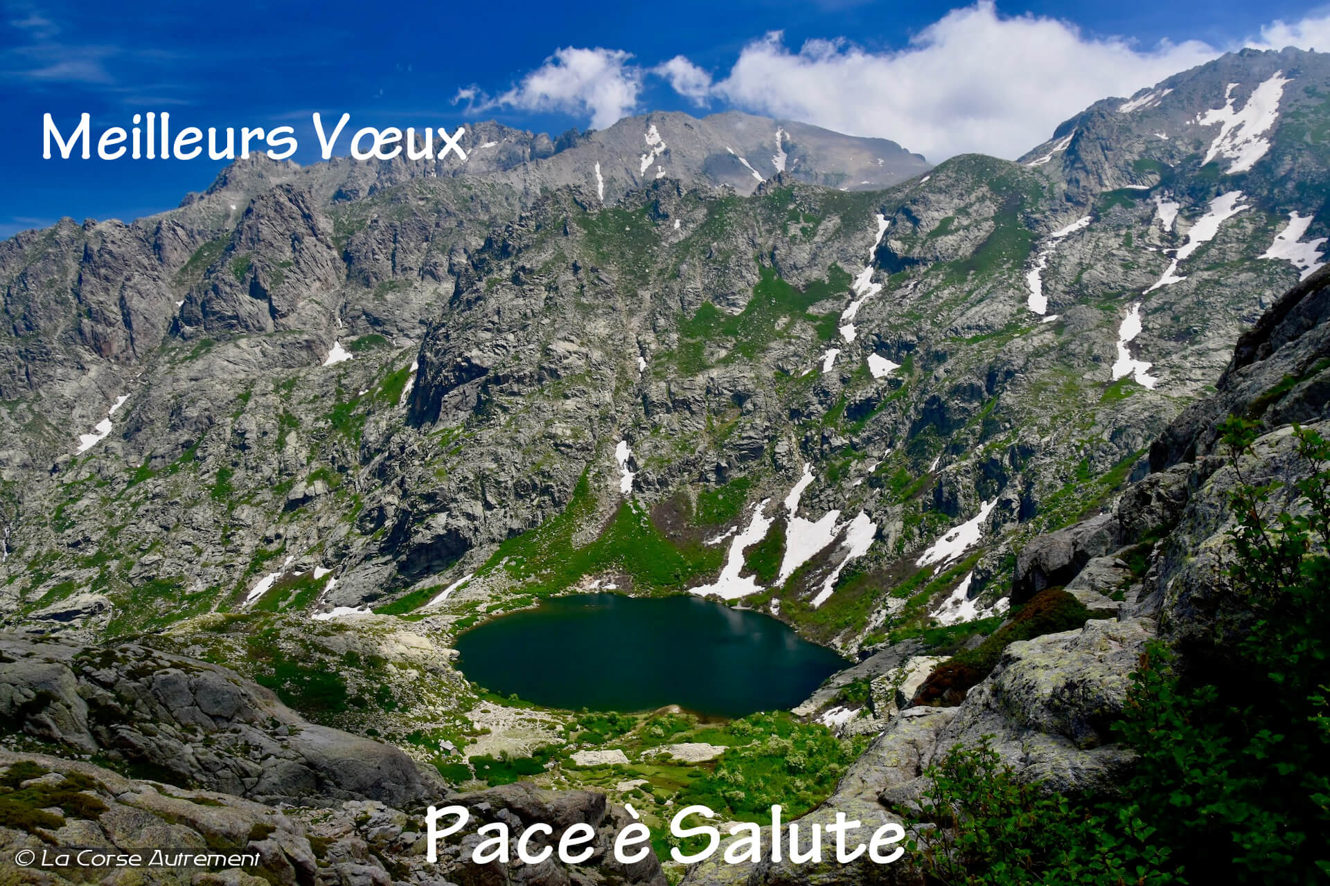 vœux