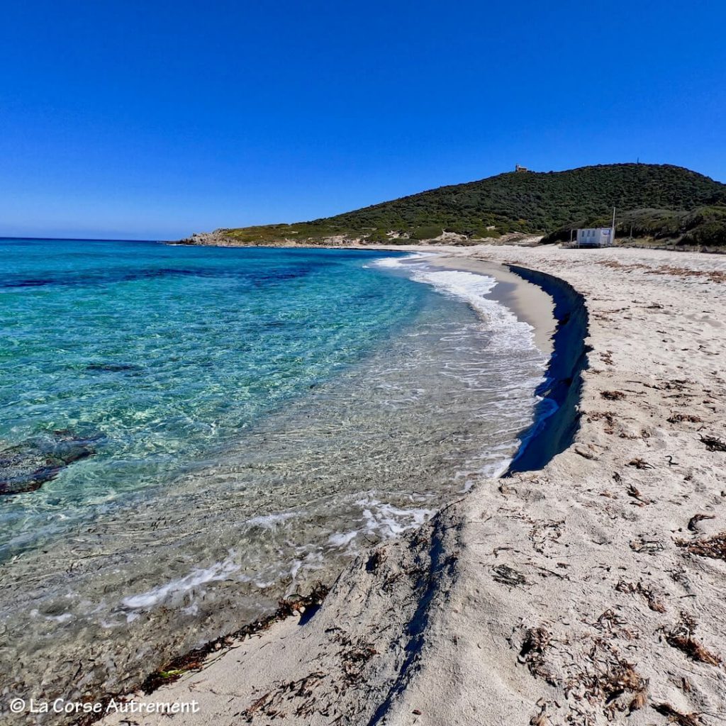 Plage De Bodri Corbara Corse Buy This Stock Photo And