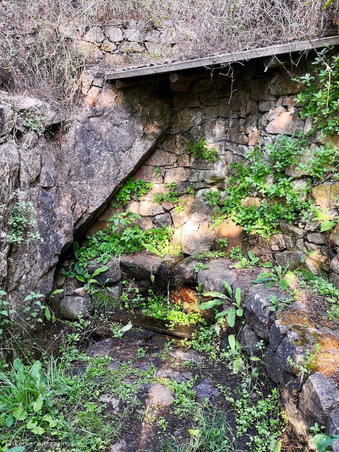 a piuma