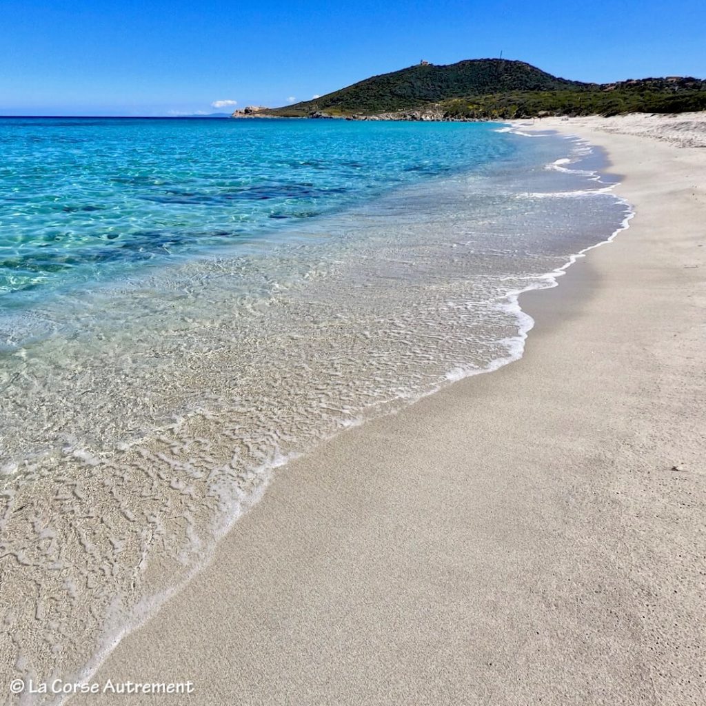 La plage de Ghjunchitu en Corse