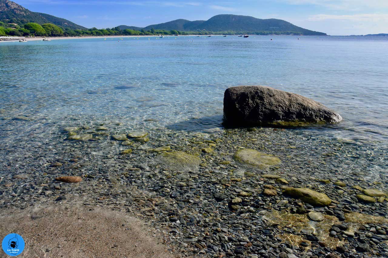 Plage de Palombaggia