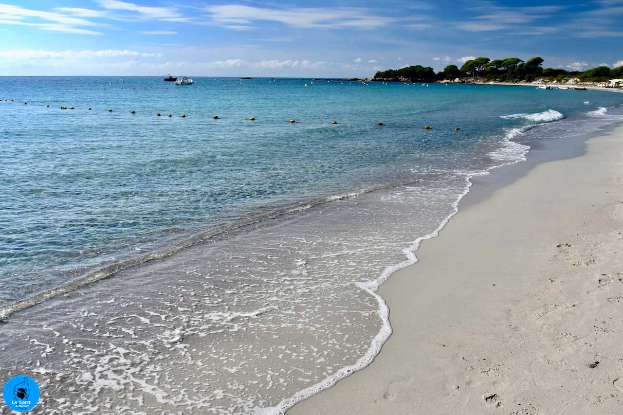 Plage de Palombaggia