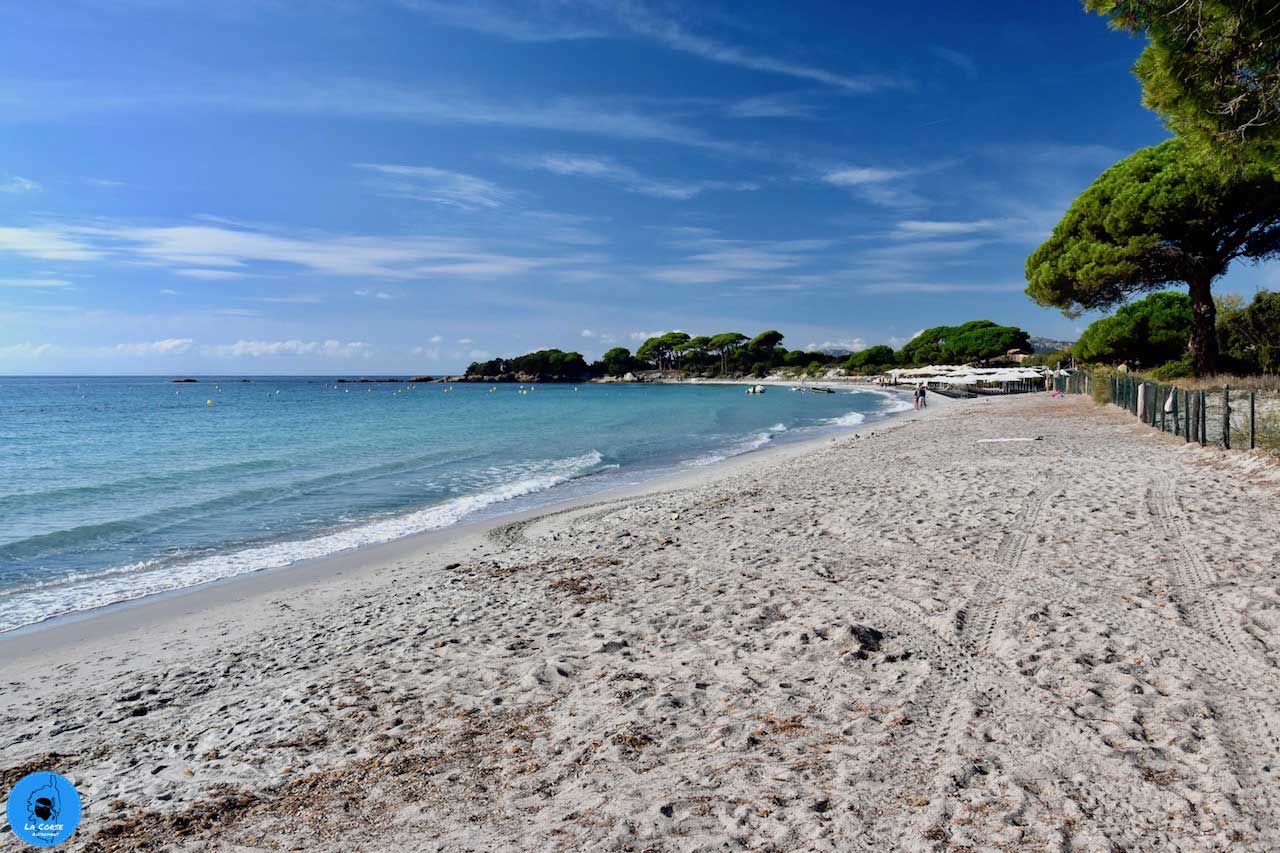 La Plage De Palombaggia En Corse Porto Vecchio