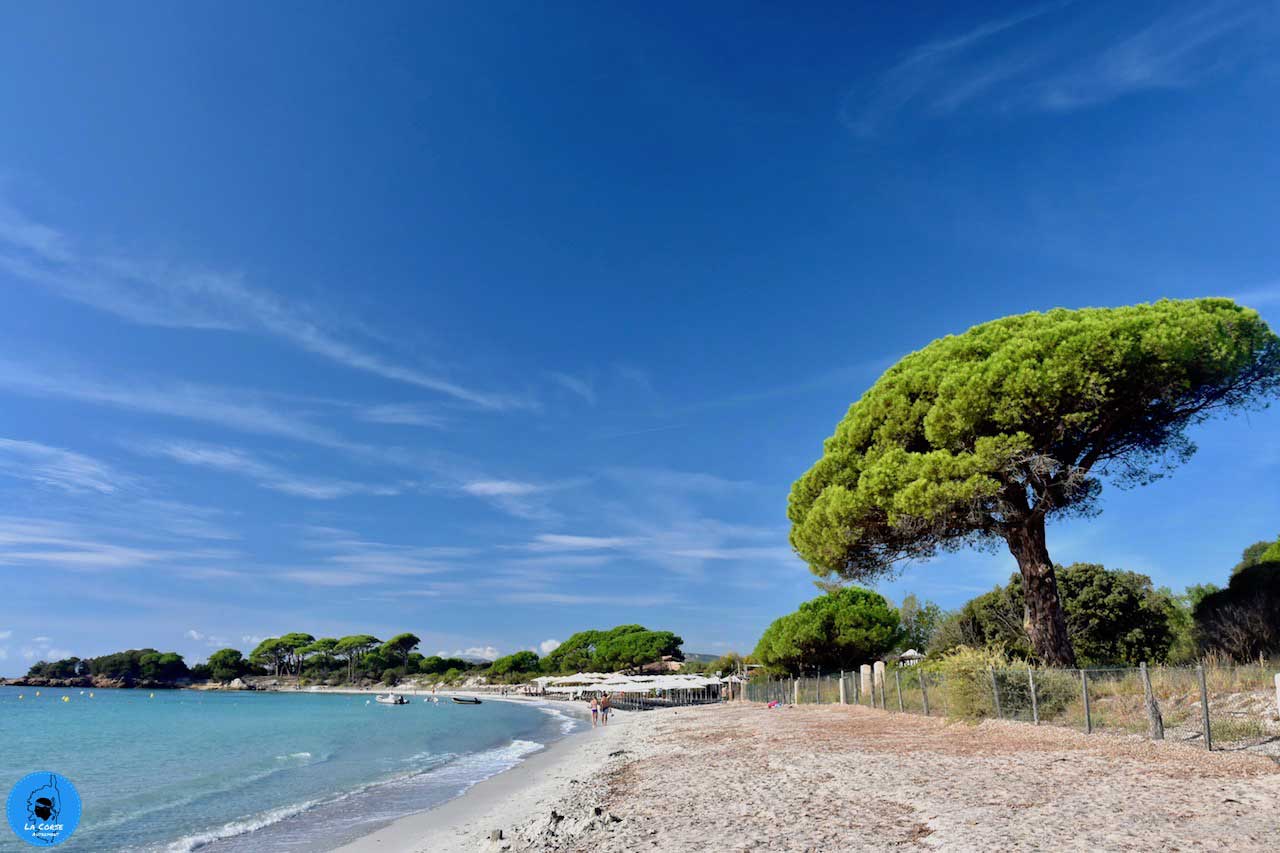 Plage de Palombaggia
