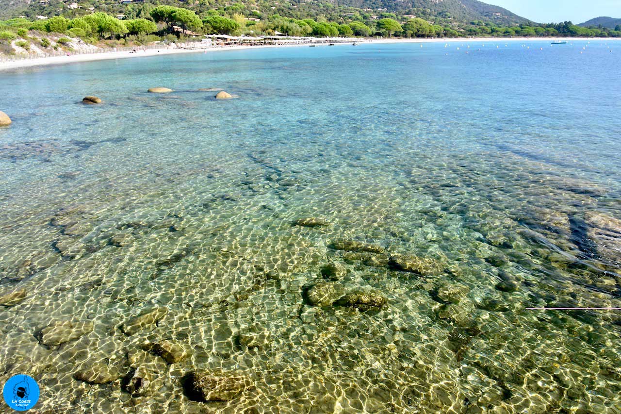 Plage de Palombaggia