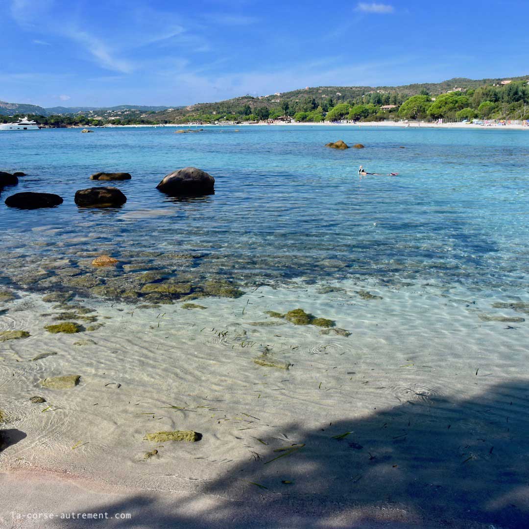 La Plage De Tamaricciu Palombaggia à Porto Vecchio