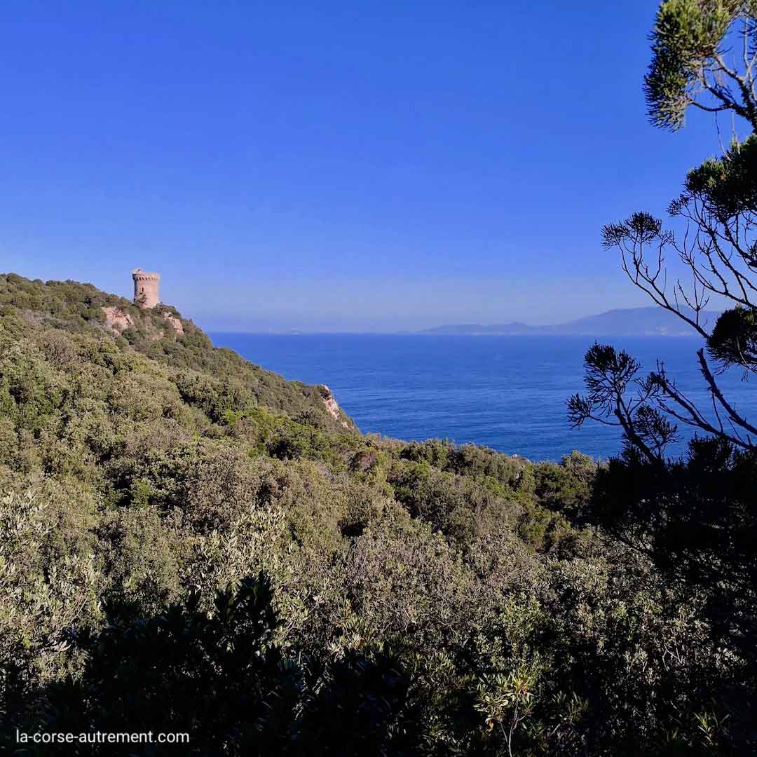 Capo di Muro