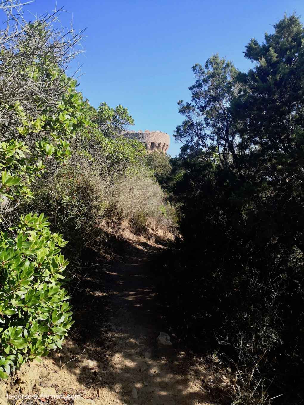 Capo di Muro