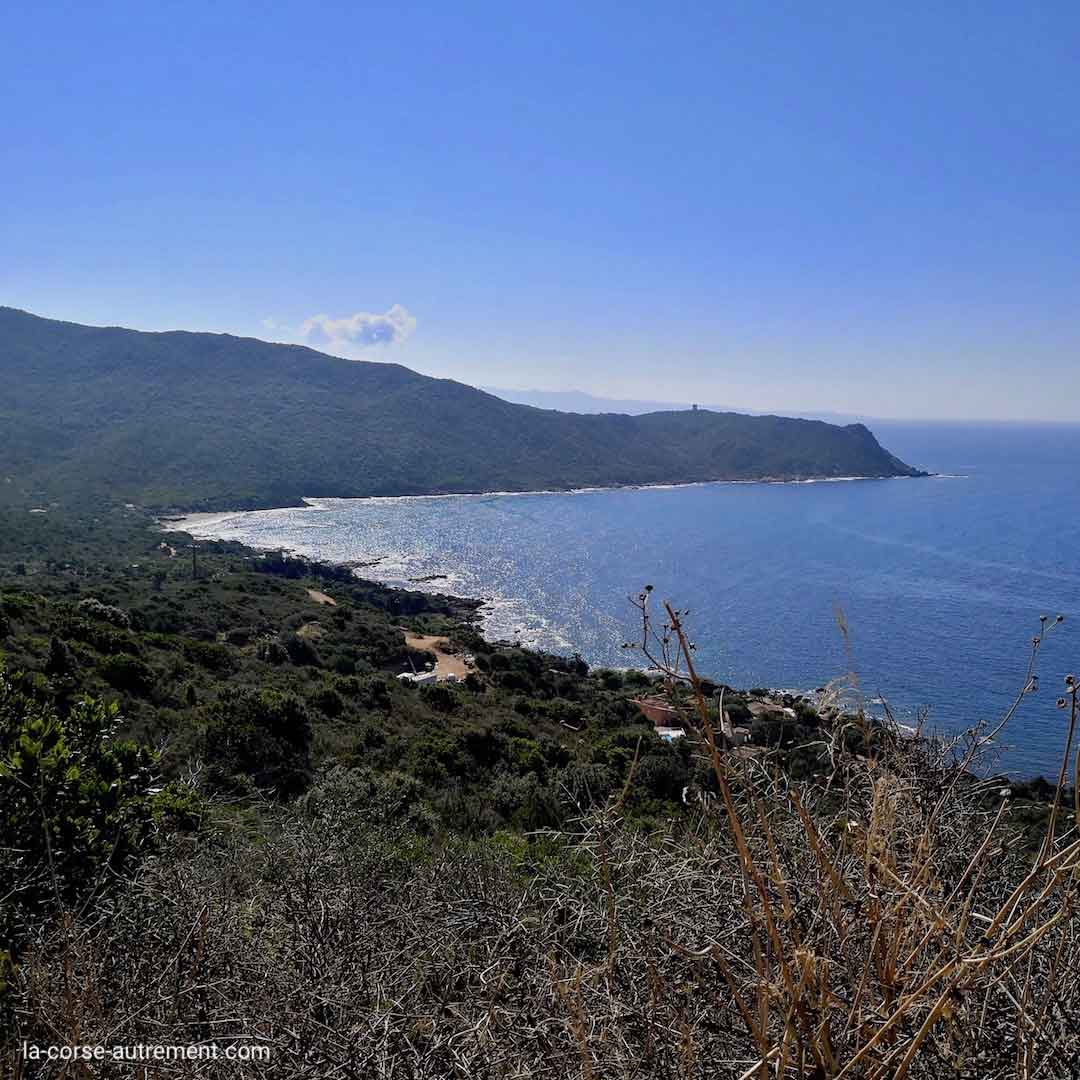 Capo di Muro