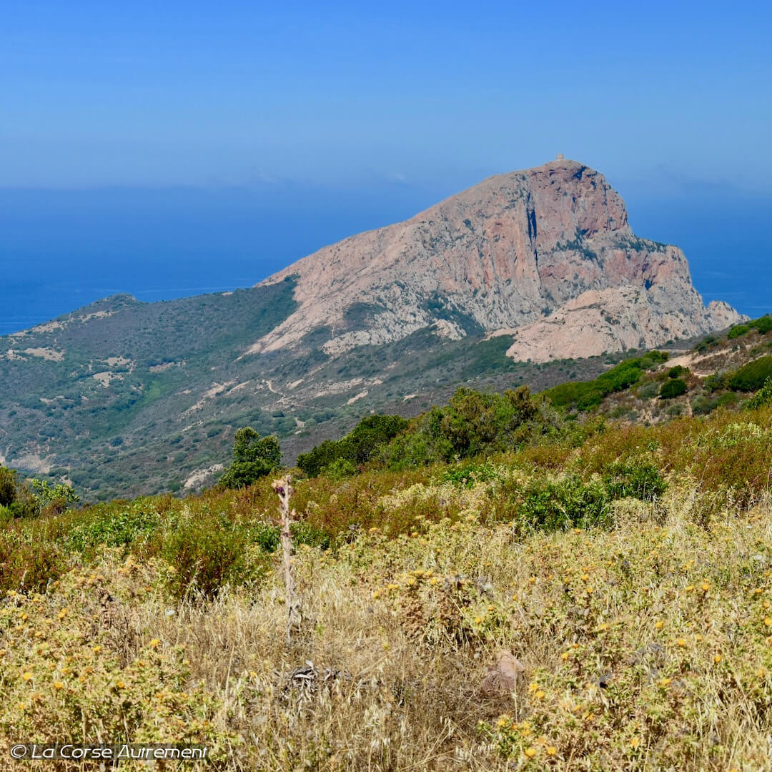 Randonnée Capo Rosso