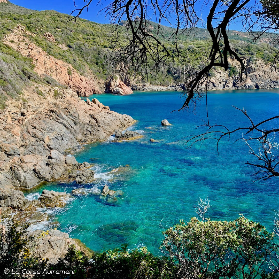 Randonnée du Capo Rosso en Corse