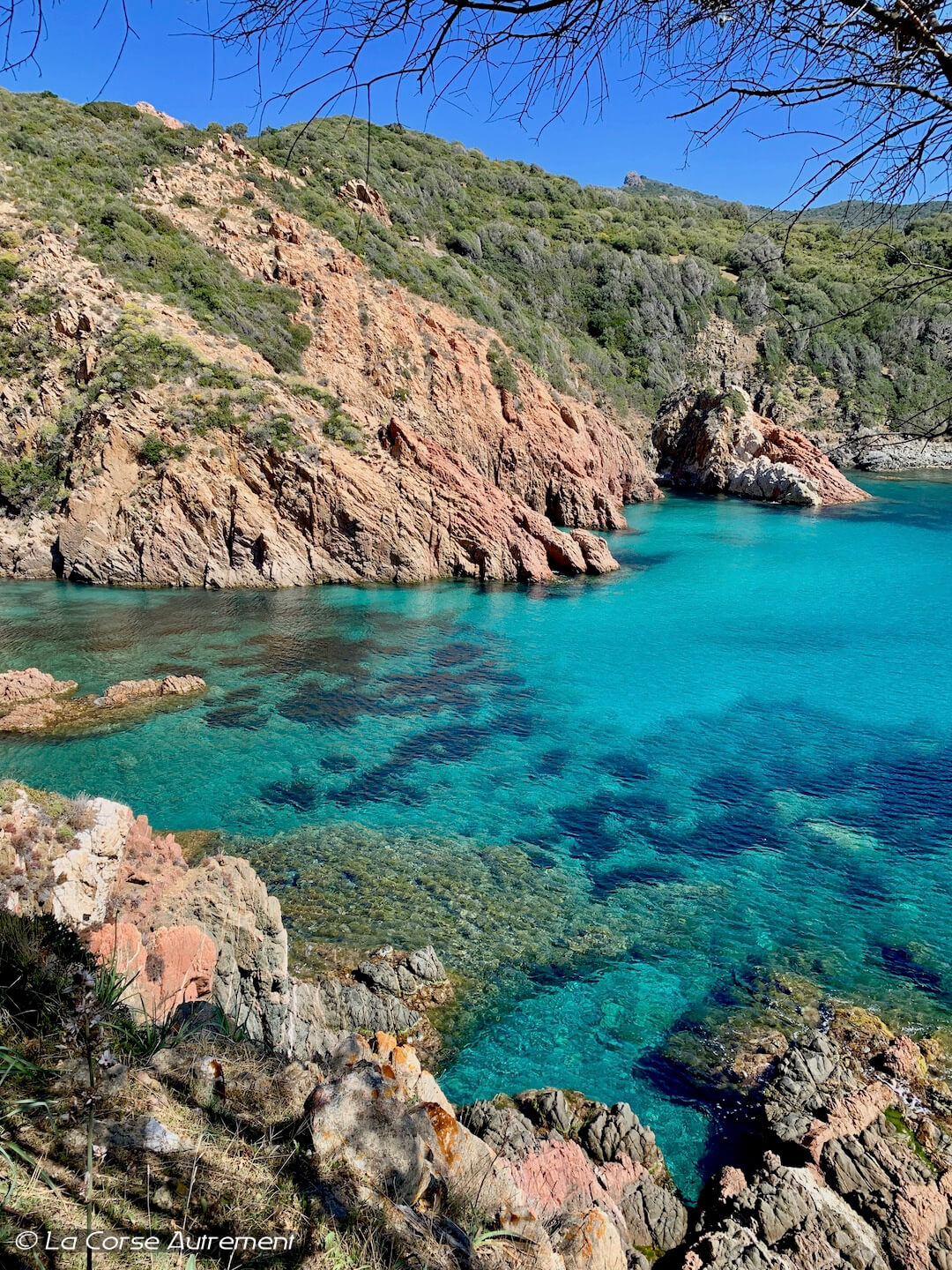 Randonnée du Capo Rosso en Corse
