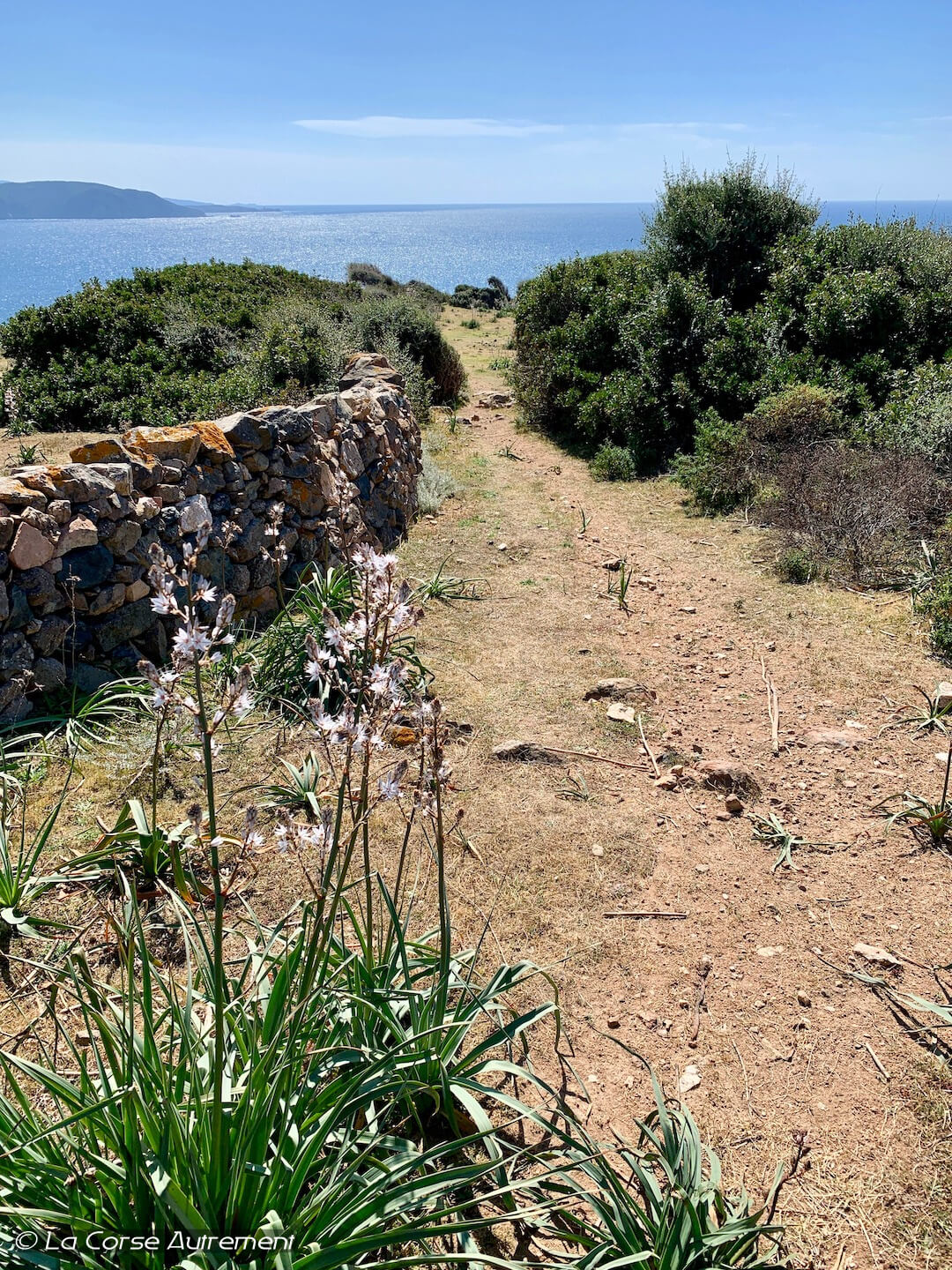 Randonnée du Capo Rosso en Corse