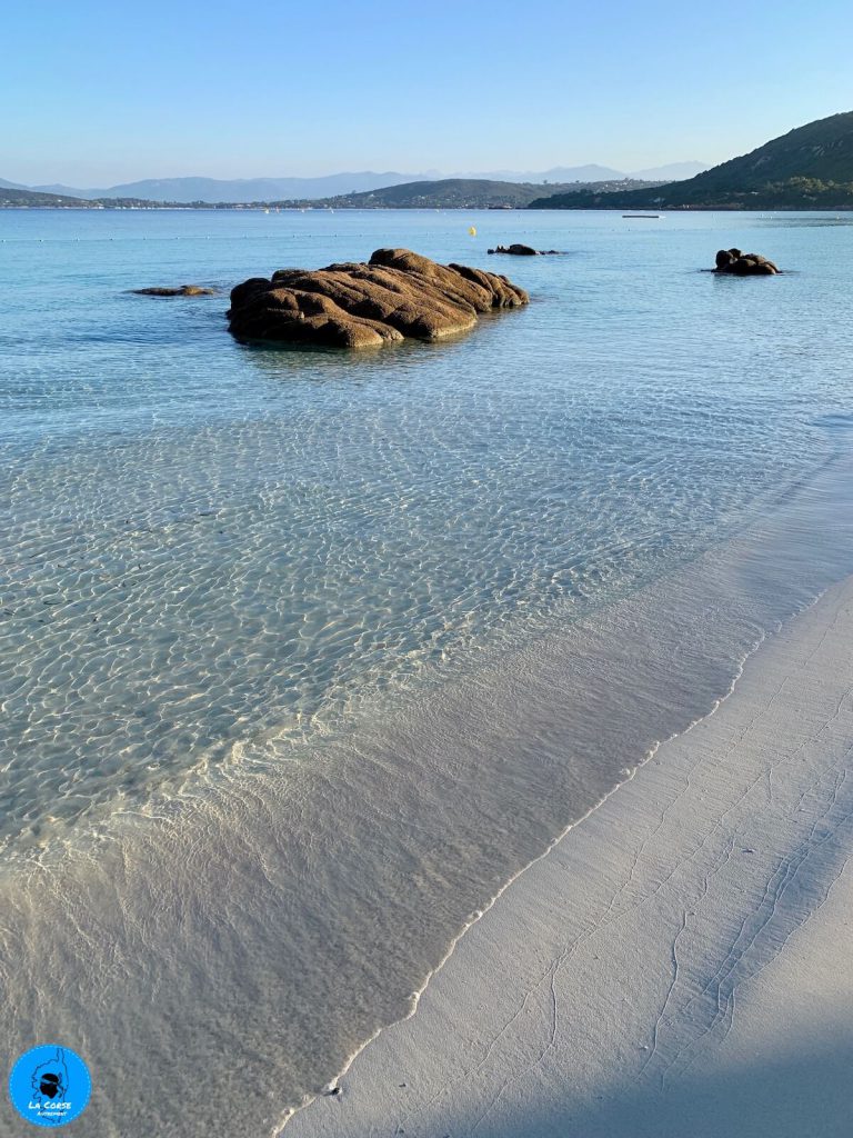 La Plage De Mare E Sole Ou Plage Dargent En Corse