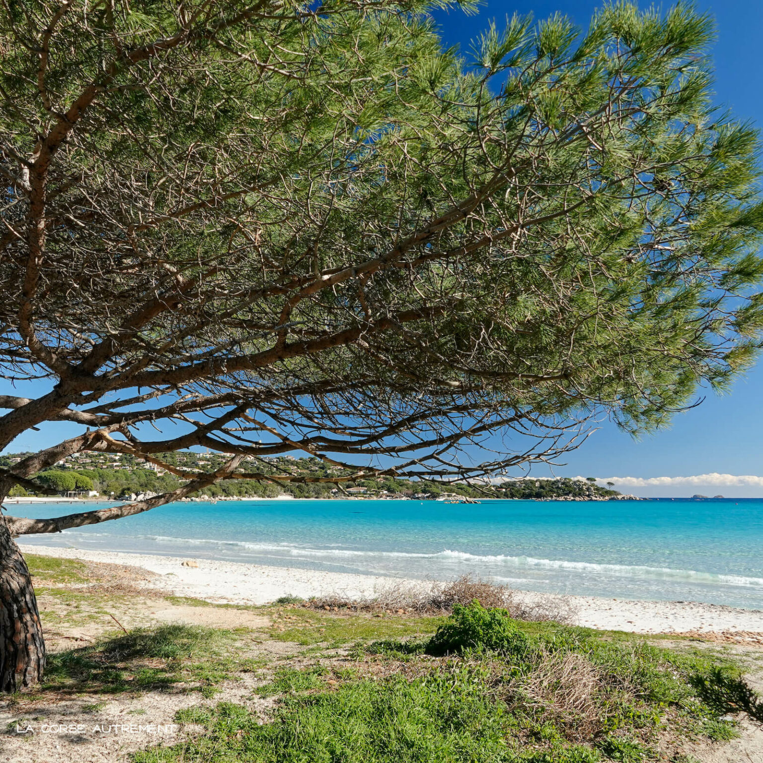 La Plage De Santa Giulia En Corse Du Sud > La Corse Autrement