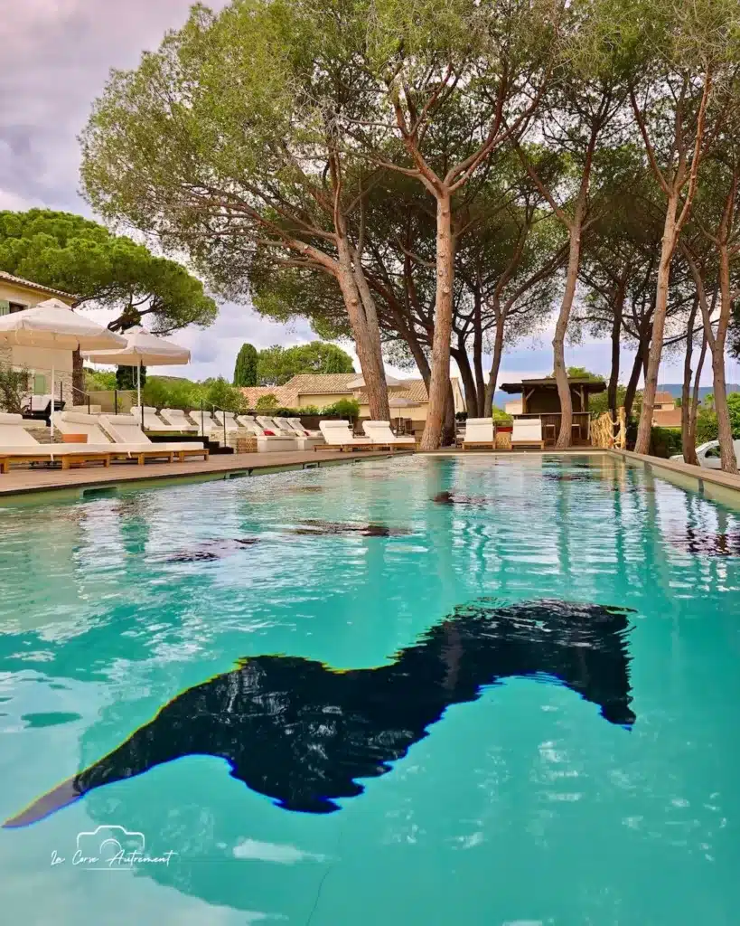 Hôtel Basgi Basgi, boutique-hôtel responsable, à Saint-Florent