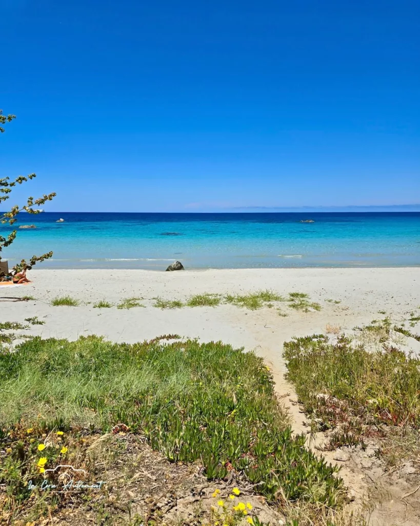 Résidence Dary *****, L'Île Rousse